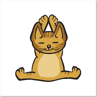 Cat In Different Yoga Poses Posters and Art